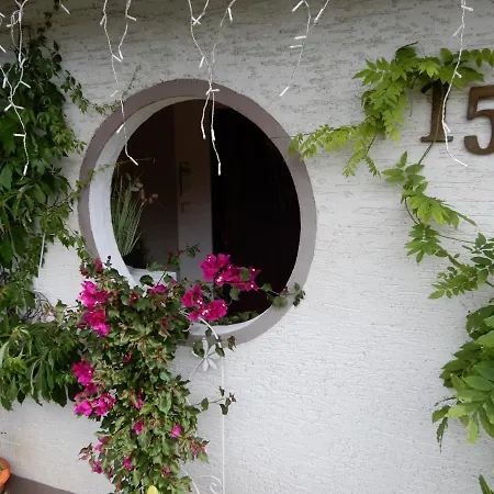 公寓 Waldblick Waldsolms