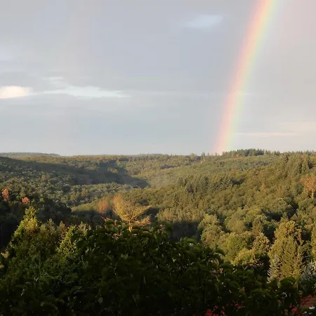 Waldblick