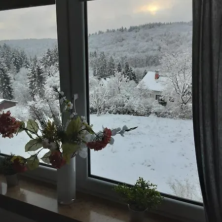 Waldblick Apartment