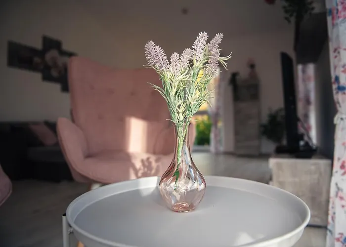 Waldblick * Waldsolms