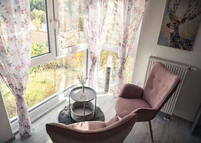 公寓 Waldblick Waldsolms